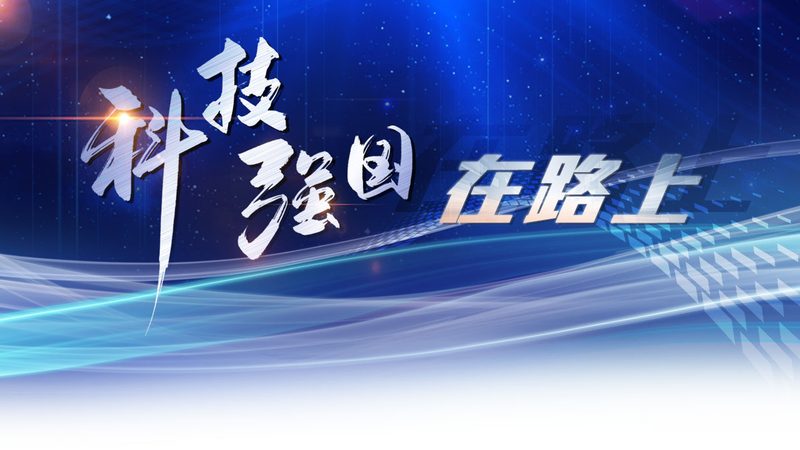Java技术外包公司排名：揭秘行业选择之道